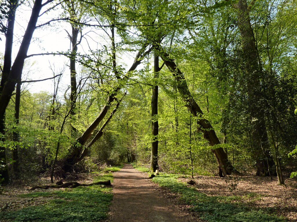 Eingang zum Neuenburger Urwald in Zetel, Friesland